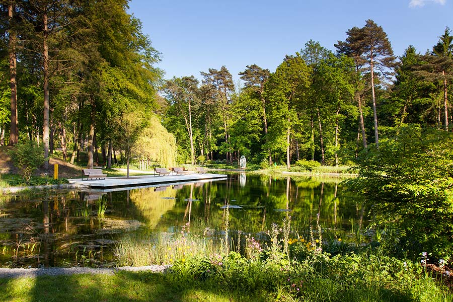 Meersmannteiche Meersmannteiche