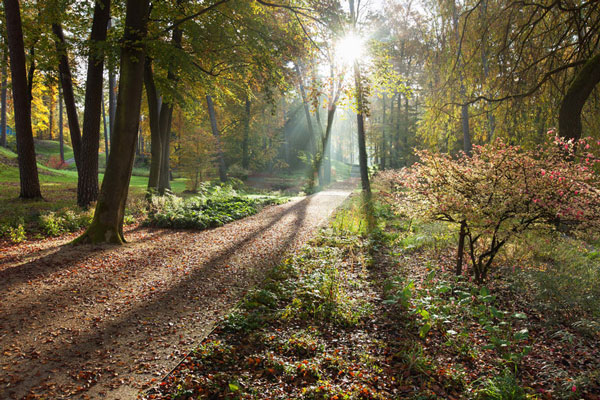 LANDESGARTESCHAU BAD LIPPSPRINGE 2017