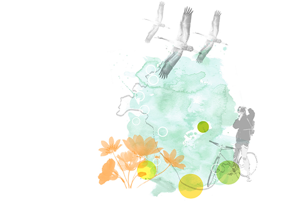 BEWERBUNG FÜR DIE BUGA SCHWERIN