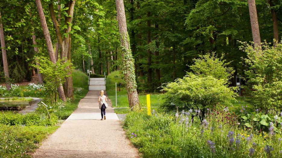 Im Waldpark