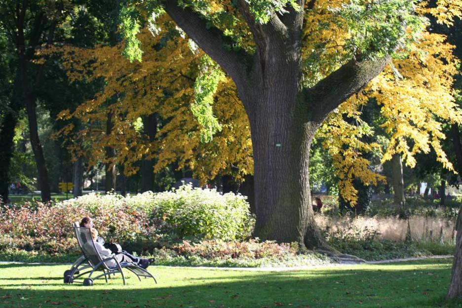 Stadtpark