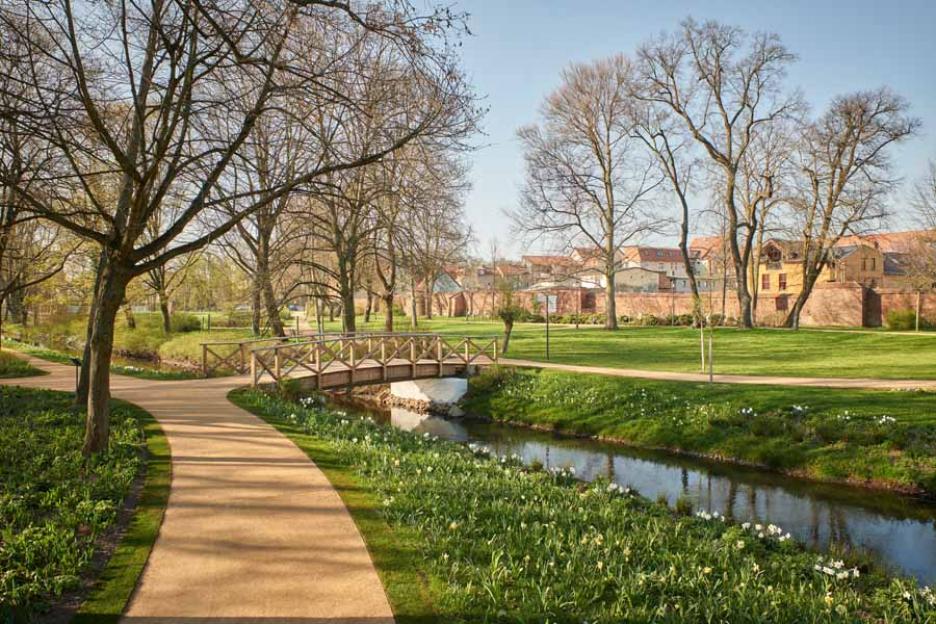 Friedrich-Ebert-Park