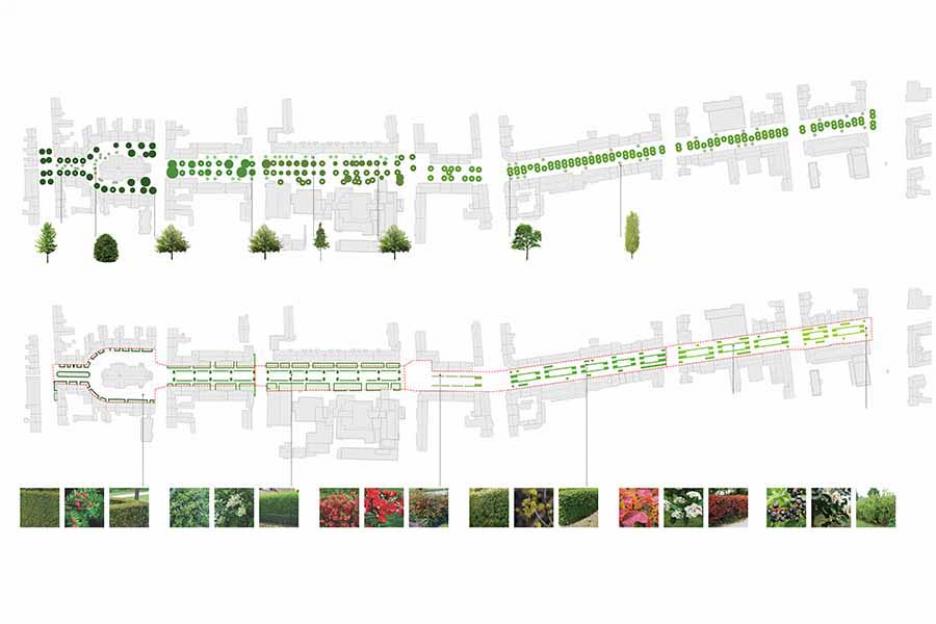 Folge Gehölze, Hecken und Stauden