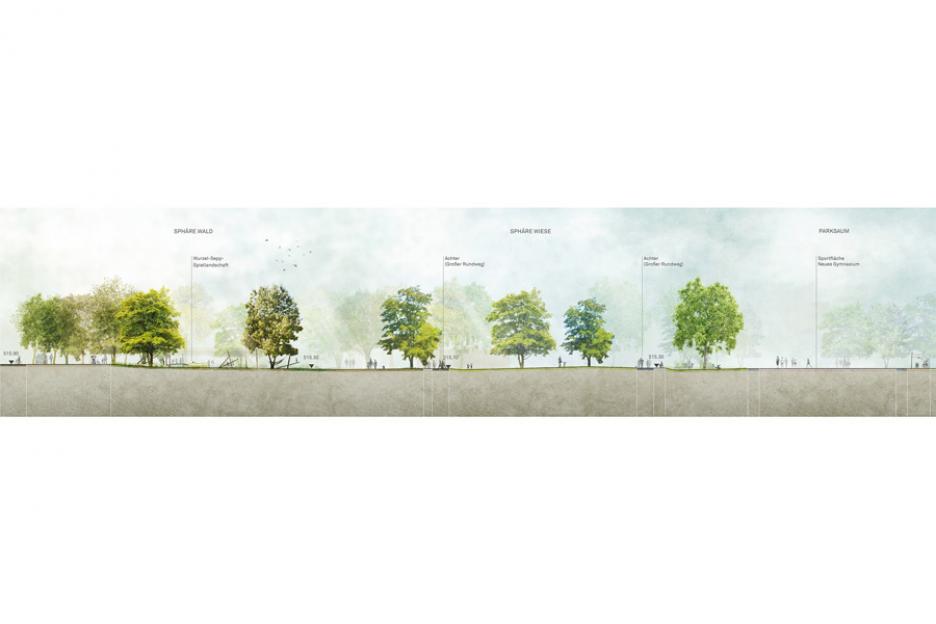 Schnitt "Sphäre Wald"