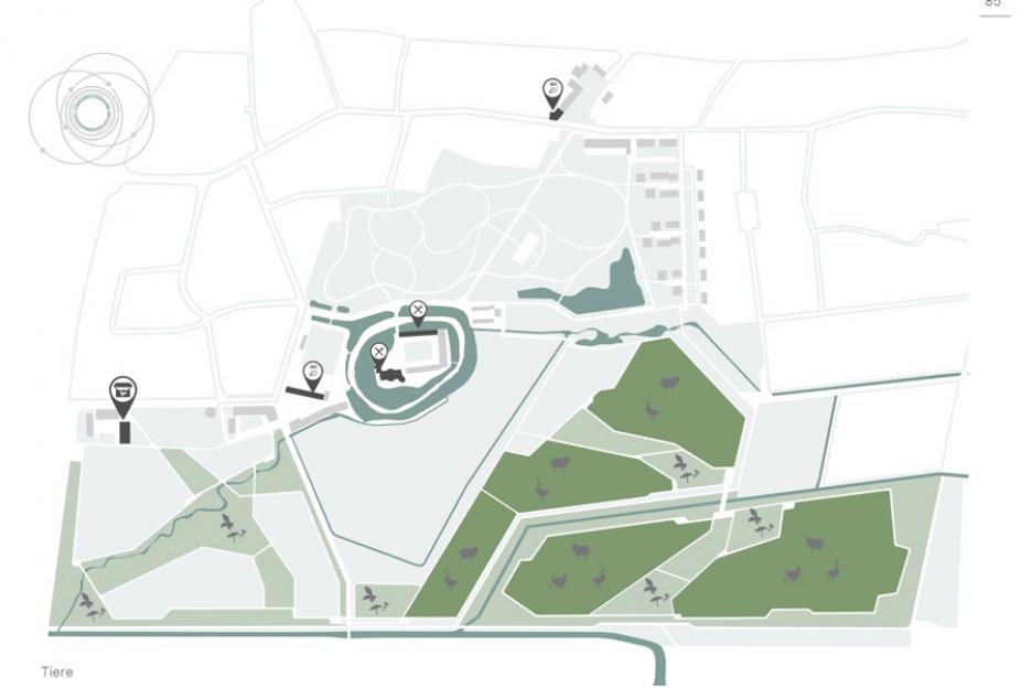 Synergie Pflanzen und Tiere im silvopastoralen System