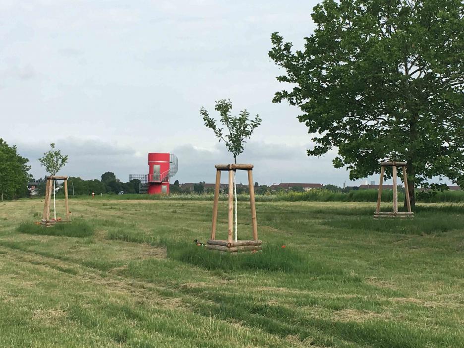 Im Rahmen des Beteiligungsverfahrens wurden 91 Bäume gepflanzt.