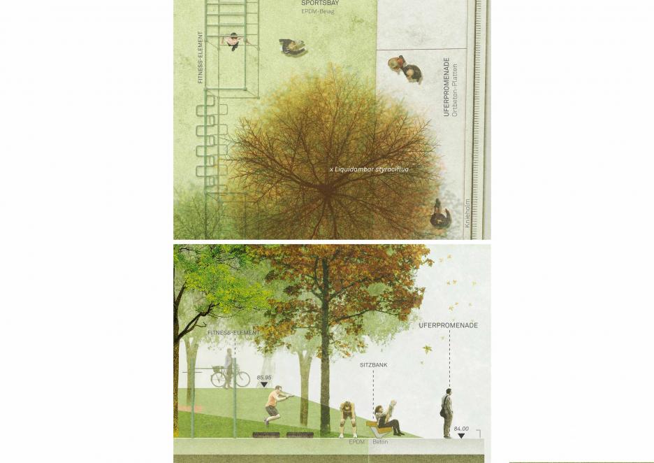 Detail 1- Sportsbay | Grundriss + Schnittansicht