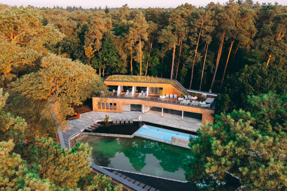 Ensemble inmitten des Heilwaldes