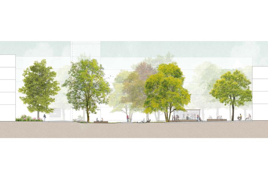 Schnitt Polygraphplatz West