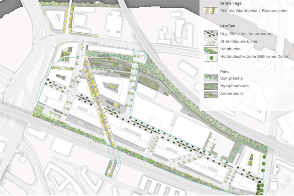 Lageplan mit Leitbaumarten