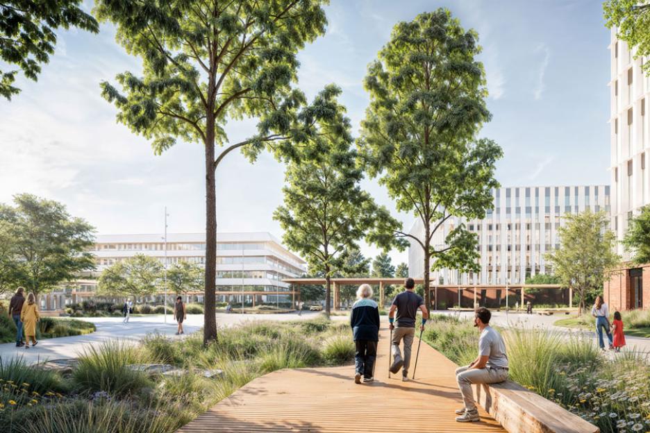 Blaugrüner Boulevard